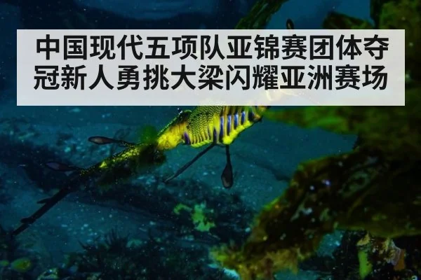 中国现代五项队亚锦赛团体夺冠新人勇挑大梁闪耀亚洲赛场