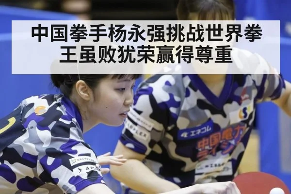 中国拳手杨永强挑战世界拳王虽败犹荣赢得尊重